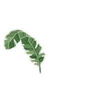 Tatianaariel summer tg palm leaf tatianaariel Sticker