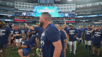 Blue Jays Baseball GIF by Toronto Blue Jays