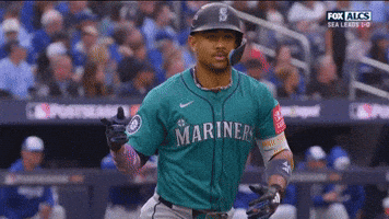 Home Run Baseball GIF by MLB