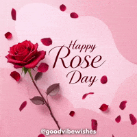 Valentines Day Love GIF