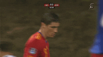 fernando torres GIF