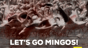 ForwardMadisonFC forward madison flamingos forward madison GIF