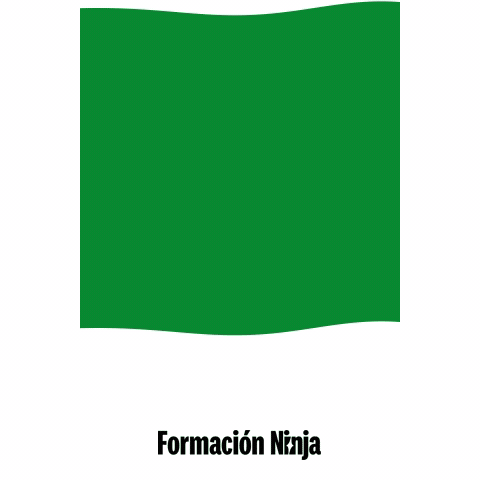 Castilla Y Leon Flag GIF by Formación Ninja