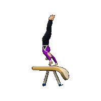 Teamgym Sticker by Seinäjoenvoimistelijat