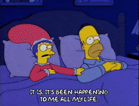 homer simpson GIF