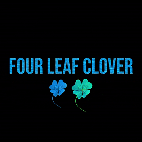 GIF by Distant Matter