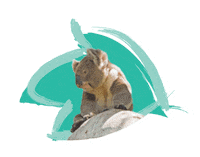 Endangered Species Australia Sticker by NSW Department of Planning, Industry and Environment