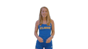 BlueHens lol point ncaa idk Sticker
