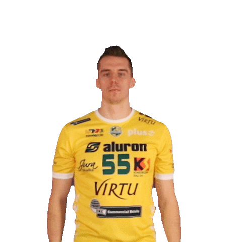 1 1 Virtu Sticker by Aluron CMC Warta Zawiercie