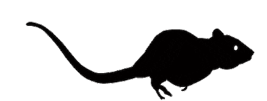 MVB_Producciones giphyupload Sticker