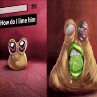 Lime GIF