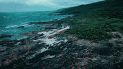 Beach Running GIF by nettwerkmusic