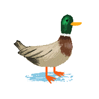 Here We Are Jacob Tremblay Sticker by Apple TV+