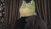 Video gif. A man with a filter that makes his face look like a frog puppet punches his fist toward us. Text, “Get out.”