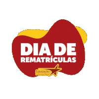 Santacatarina Perpetuo Sticker by Acsc Mantenedora