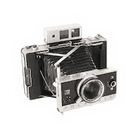 Vintage Photography Sticker by Clement