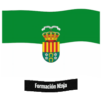 Comunidad Valenciana Flag Sticker by Formación Ninja