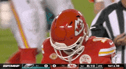 National Football League GIF by NFL