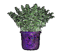 glitch 3d Sticker by Sarah Zucker