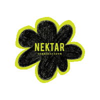nektartorrefacteur summer coffee cafe nektar coffee roasters Sticker
