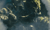 sleeping beauty maleficent GIF by Disney