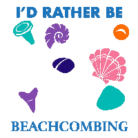 Sand Dollar Beach Sticker by Beachcombing Magazine