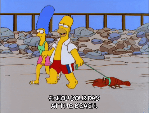 homer simpson GIF
