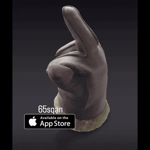 3D Middle Finger GIF by DEFEND Nonprofit