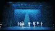 Nutcracker GIF by English National Ballet