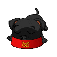 Staffordshire Bull Terrier Staffy Sticker by SBT1935