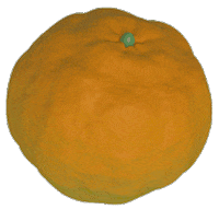 animation art GIF by jellygummies