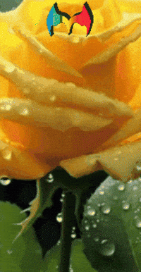 Amigos Flores GIF by Murcianys LLC