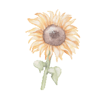 Flower Spring Sticker by Little Rae Prints