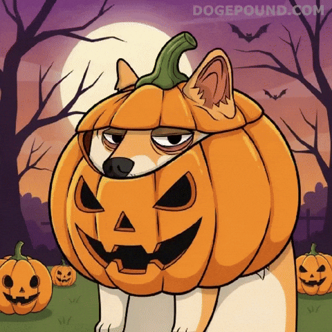 Tired Over It GIF by Doge Pound