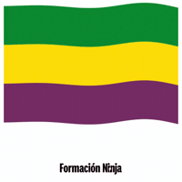 Flag Spain GIF by Formación Ninja