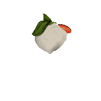 Italy Cheese Sticker