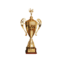 Football Win Sticker by Startkey