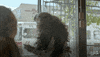 baroness von sketch GIF by IFC