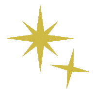 Sparkle Midterms Sticker by Vote Save America