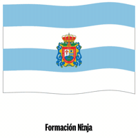 Bandera Andalucia GIF by Formación Ninja