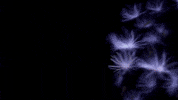 s9 GIF by MAGTICOM