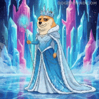 Unimpressed Shiba Inu GIF by Doge Pound