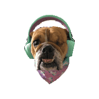 Bully Rescue Dog Sticker by Geekster Pets