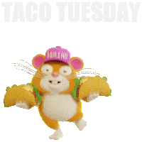 Taco Time Tuesday Sticker by Grind