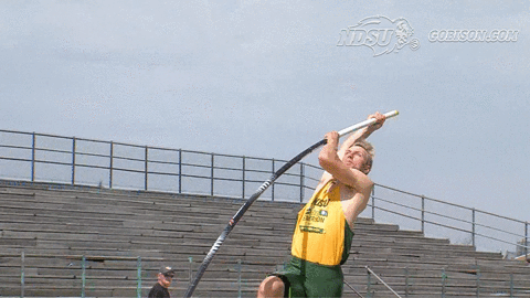 north dakota state bison GIF by NDSU Athletics