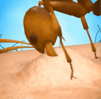 Stinging Human Skin GIF