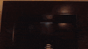 Snl Michael Longfellow GIF by Saturday Night Live
