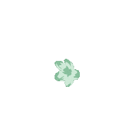 Flower Sticker by Henry&Jules