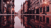 fall rain GIF