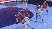Ffhandball GIF by Fédération Française de Handball
